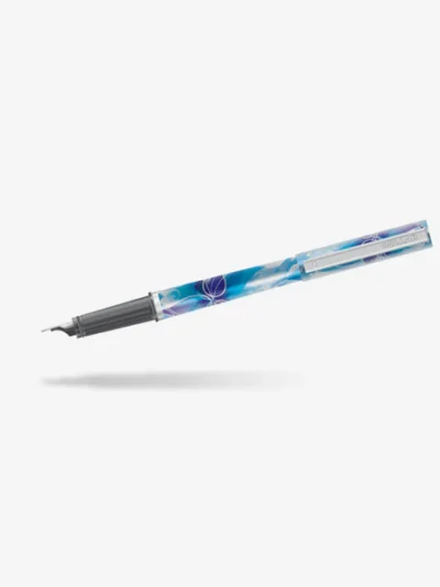 DOLLAR BLISS FOUNTAIN PEN 10 PCS
